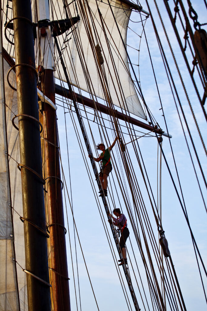 Oosterschelde 10