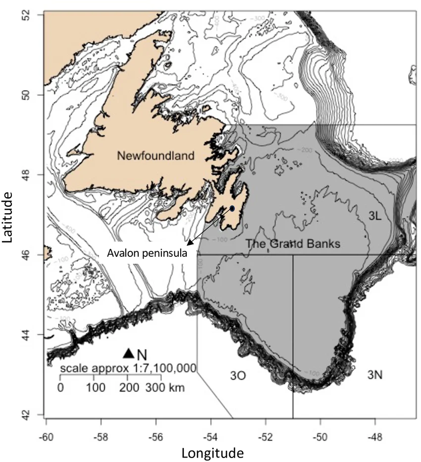 The-Grand-Banks-of-Newfoundland-grey-Solid-lines-indicate-the-management-unit